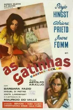 As Gatinhas - постер