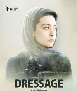 Dressage - постер