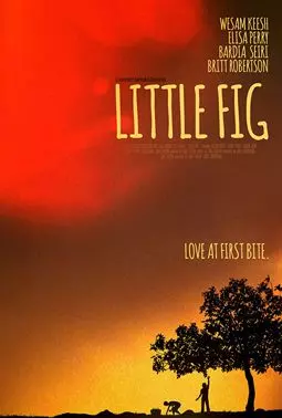 Little Fig - постер