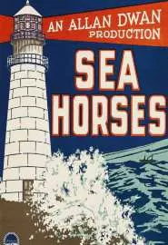 Морские коньки - постер