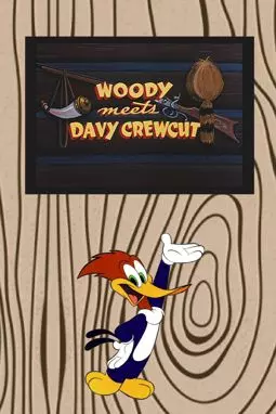 Woody Meets Davy Crewcut - постер