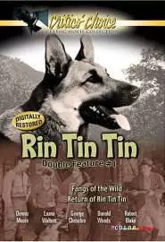 The Return of Rin Tin Tin - постер