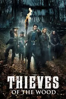 Лесные разбойники - постер