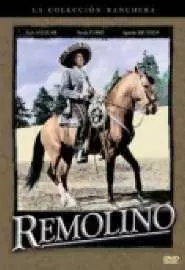 Remolino - постер