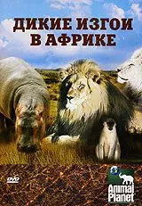 Animal Planet: Дикие изгои в Африке - постер