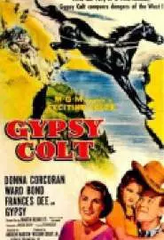 Gypsy Colt - постер