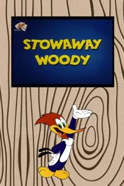 Stowaway Woody - постер