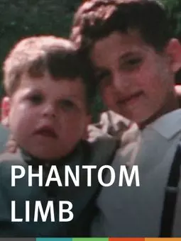 Phantom Limb - постер