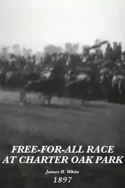 Free-for-All Race at Charter Oak Park - постер