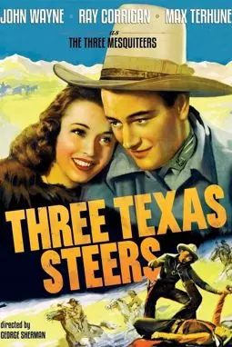 Three Texas Steers - постер