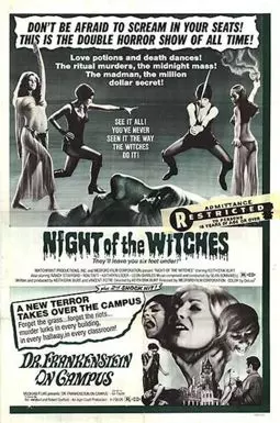 Night of the Witches - постер