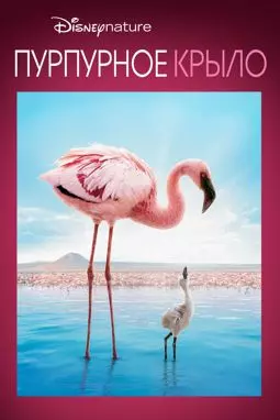 Пурпурные крылья: Тайна фламинго - постер