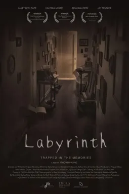 Labyrinth - постер