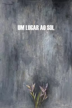Um Lugar ao Sol - постер