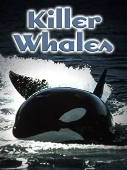 Killer Whales: Up Close and Personal - постер