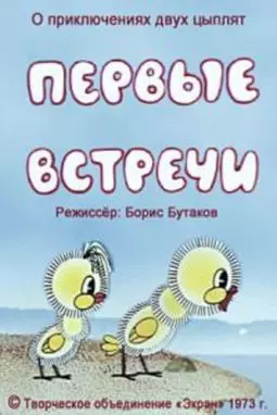 Первые встречи - постер