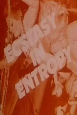 Ecstasy in Entropy - постер