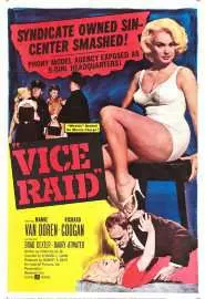Vice Raid - постер