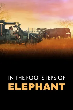 In the Footsteps of Elephant - постер