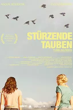 Stürzende Tauben - постер