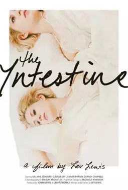 The Intestine - постер