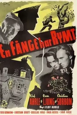 En fånge har rymt - постер