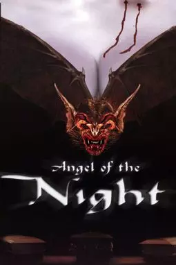 Ангел ночи - постер
