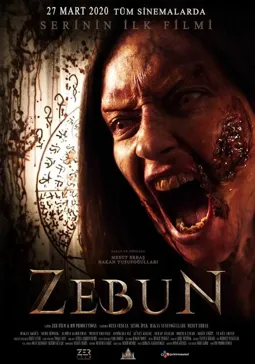 Zebun - постер