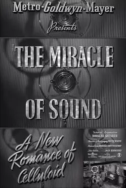 The Miracle of Sound - постер