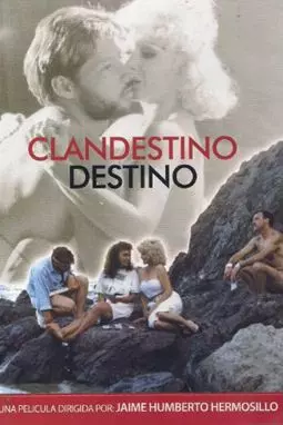 Clandestino destino - постер