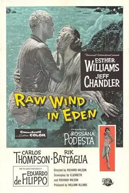 Raw Wind in Eden - постер