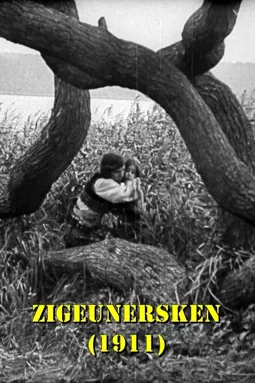 Zigeunersken - постер