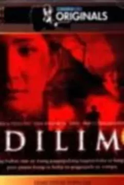 Dilim - постер