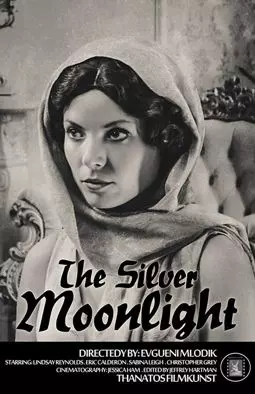Серебристый свет луны - постер