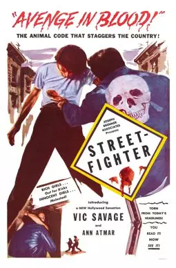 Street-Fighter - постер