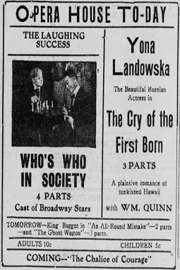 Who's Who in Society - постер
