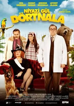 Niyazi Gül Dörtnala - постер