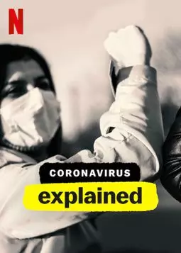 Коронавирус, объяснение - постер