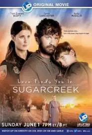 Love Finds You in Sugarcreek - постер