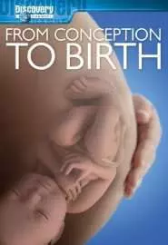 From Conception to Birth - постер
