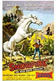 Snowfire - постер