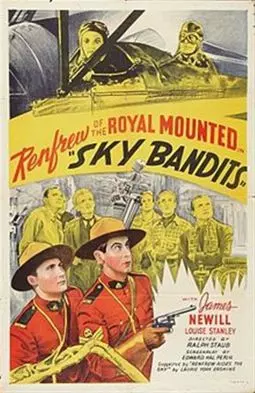 Sky Bandits - постер