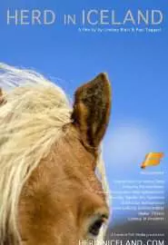 Herd in Iceland - постер