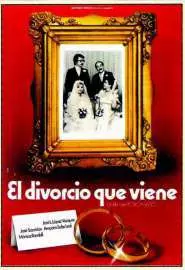 El divorcio que viene - постер