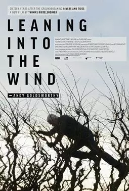 Leaning Into the Wind: Andy Goldsworthy - постер