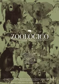 Zoológico - постер