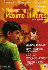 Цветение Максимо Оливероса - постер