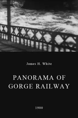 Panorama of Gorge Railway - постер