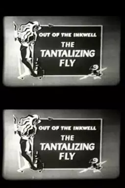 The Tantalizing Fly - постер