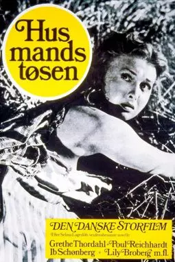 Husmandstøsen - постер